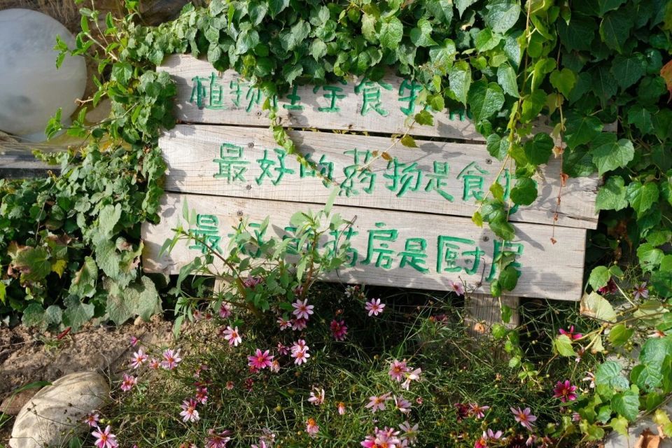 饼干, om 饼干, om