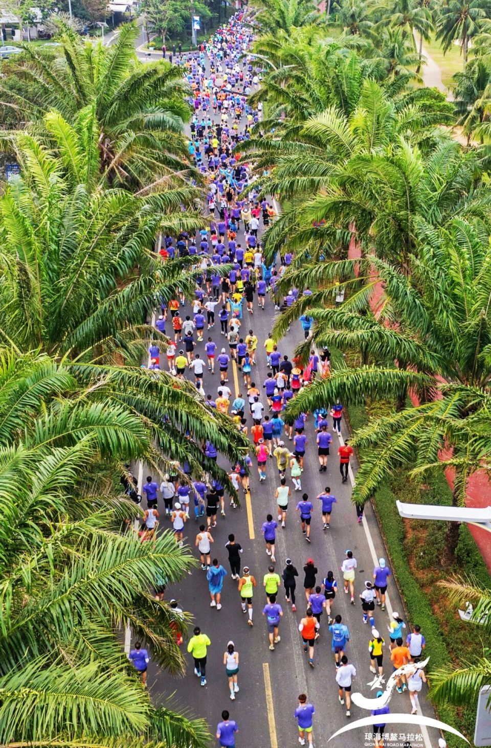 中国梦, 的嘉积鸭, 频共振 中国梦, 的嘉积鸭, 频共振